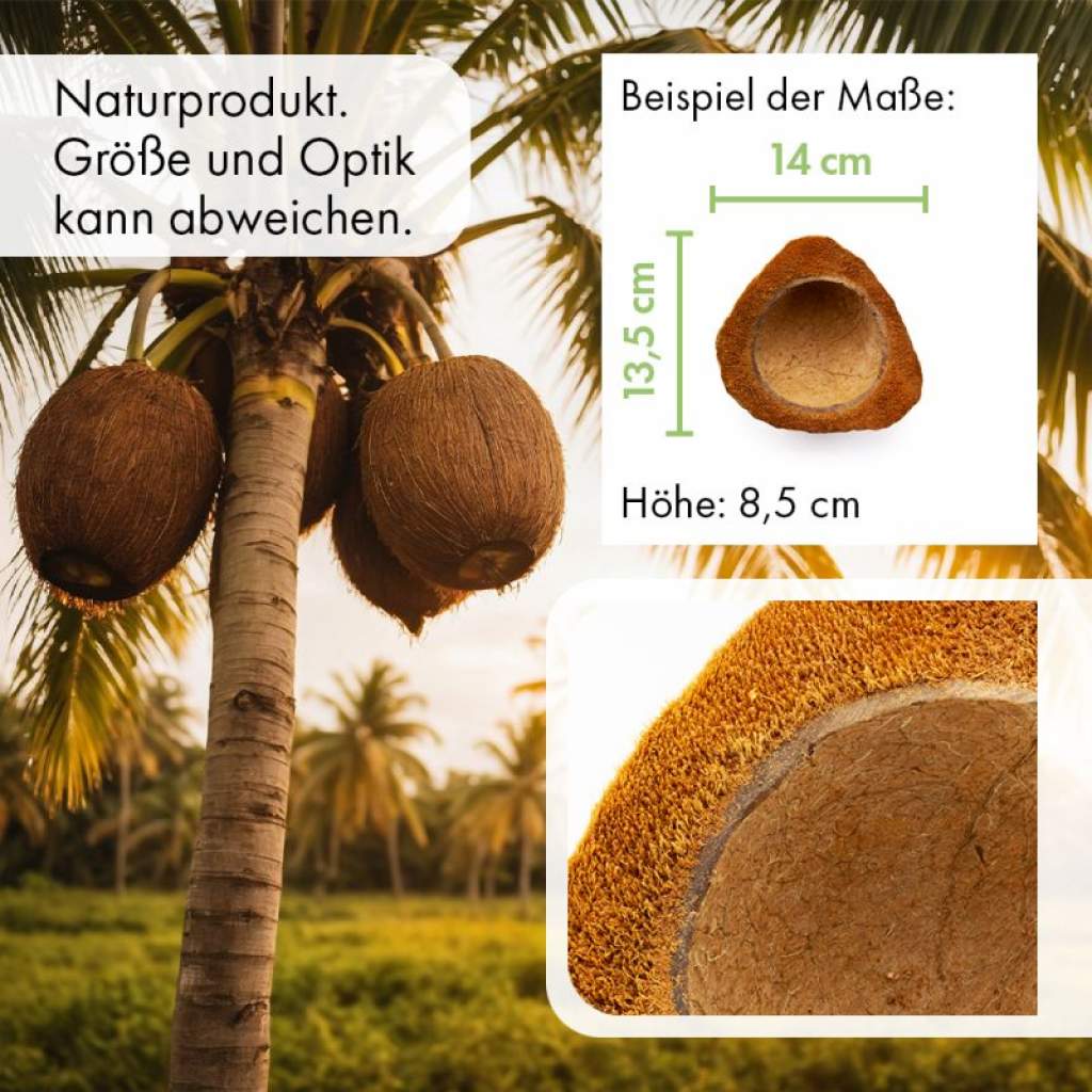 Kokos-Halbschale - Wasserschale